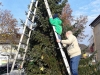 20141128_105651_resized