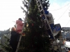 20141128_110356_resized