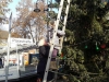 20141128_110716_resized